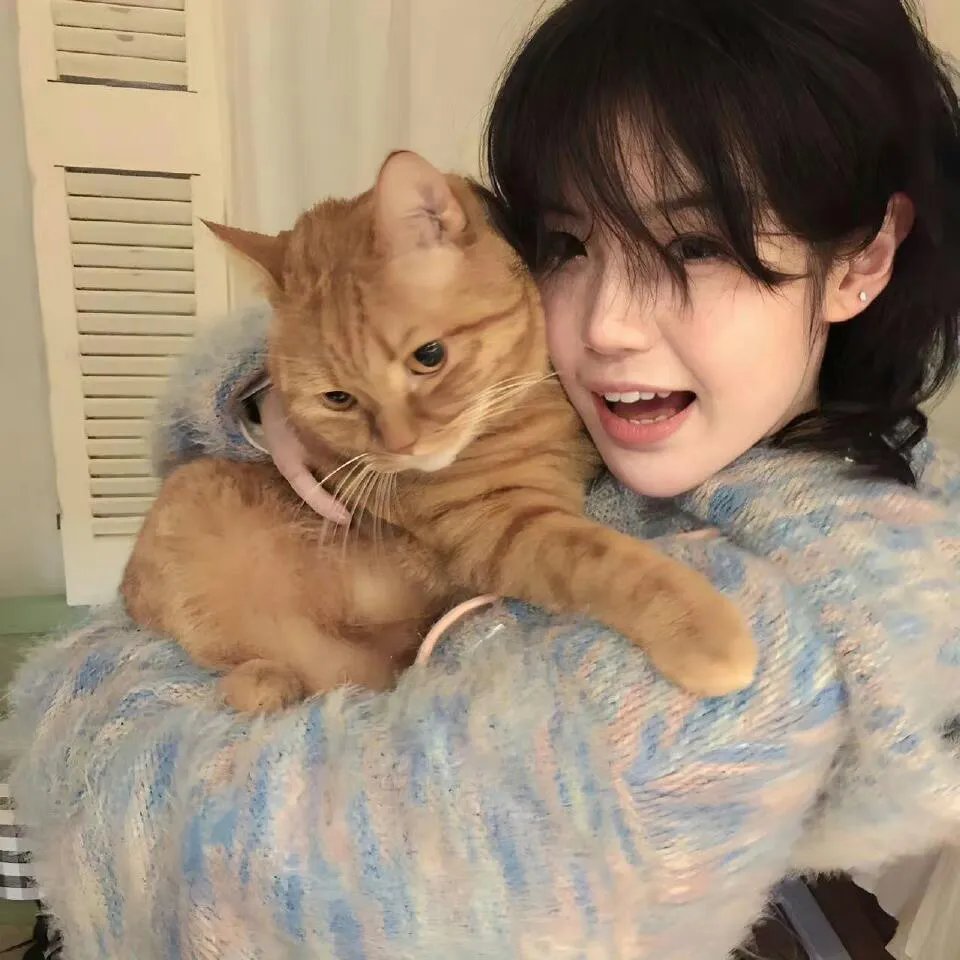 猫和老鼠2014第三季
